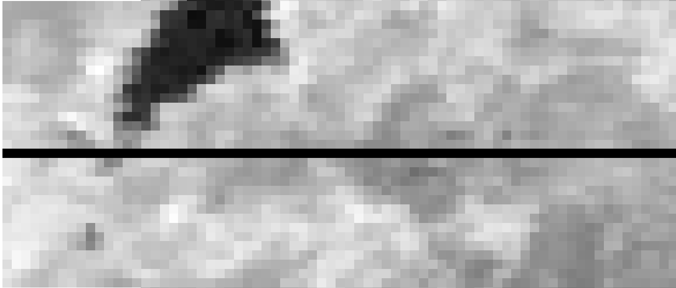 GeoTIFF visualized at about 250 m ground resolution—coarser grid, broader averaging per pixel