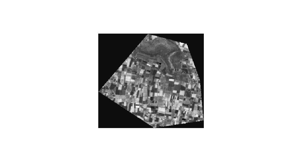 Tiff_clipped — output extent and pixels inside the clip polygon