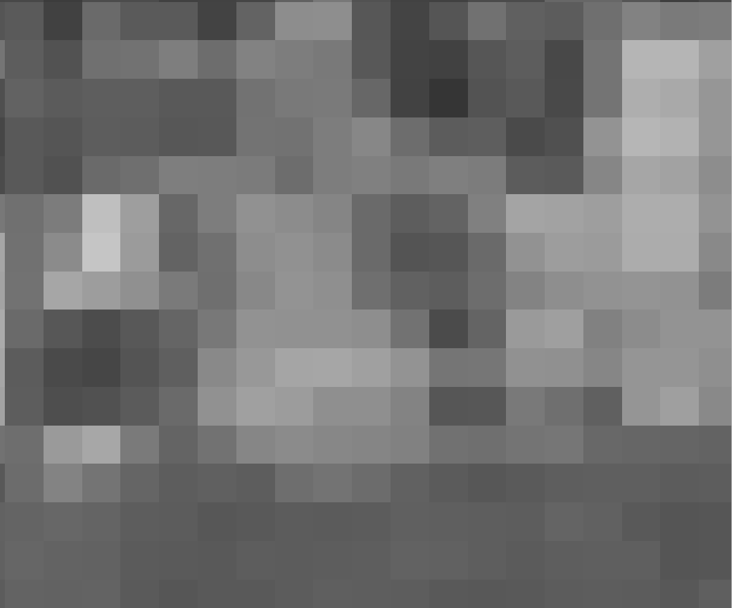 pixel_after_resampling — raster after resampling to a coarser grid