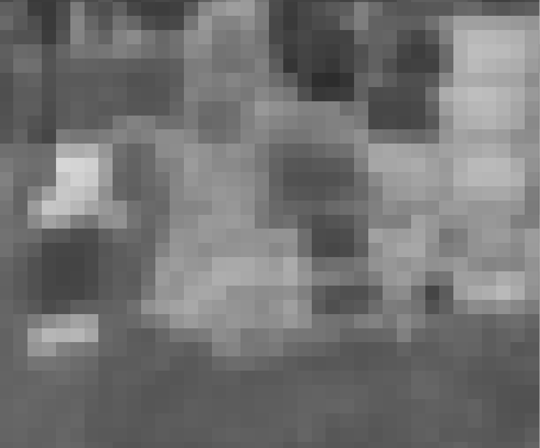 pixel_before_resampling — full-resolution raster before resampling